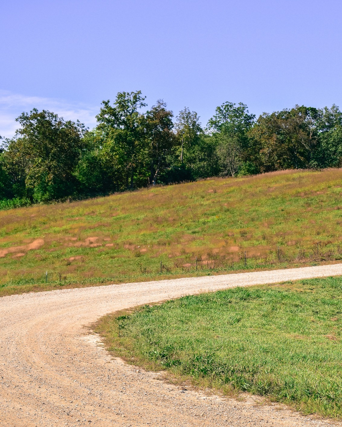 Strong Market Demand